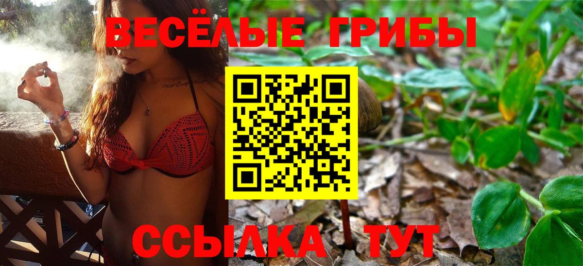 Новороссийск  Псилоцибиновые грибы Cubensis  Вход с VPN  Галлюциногенные грибы Cubensis 
